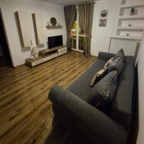 Milan Apartament-in the center of Târgu Mureș